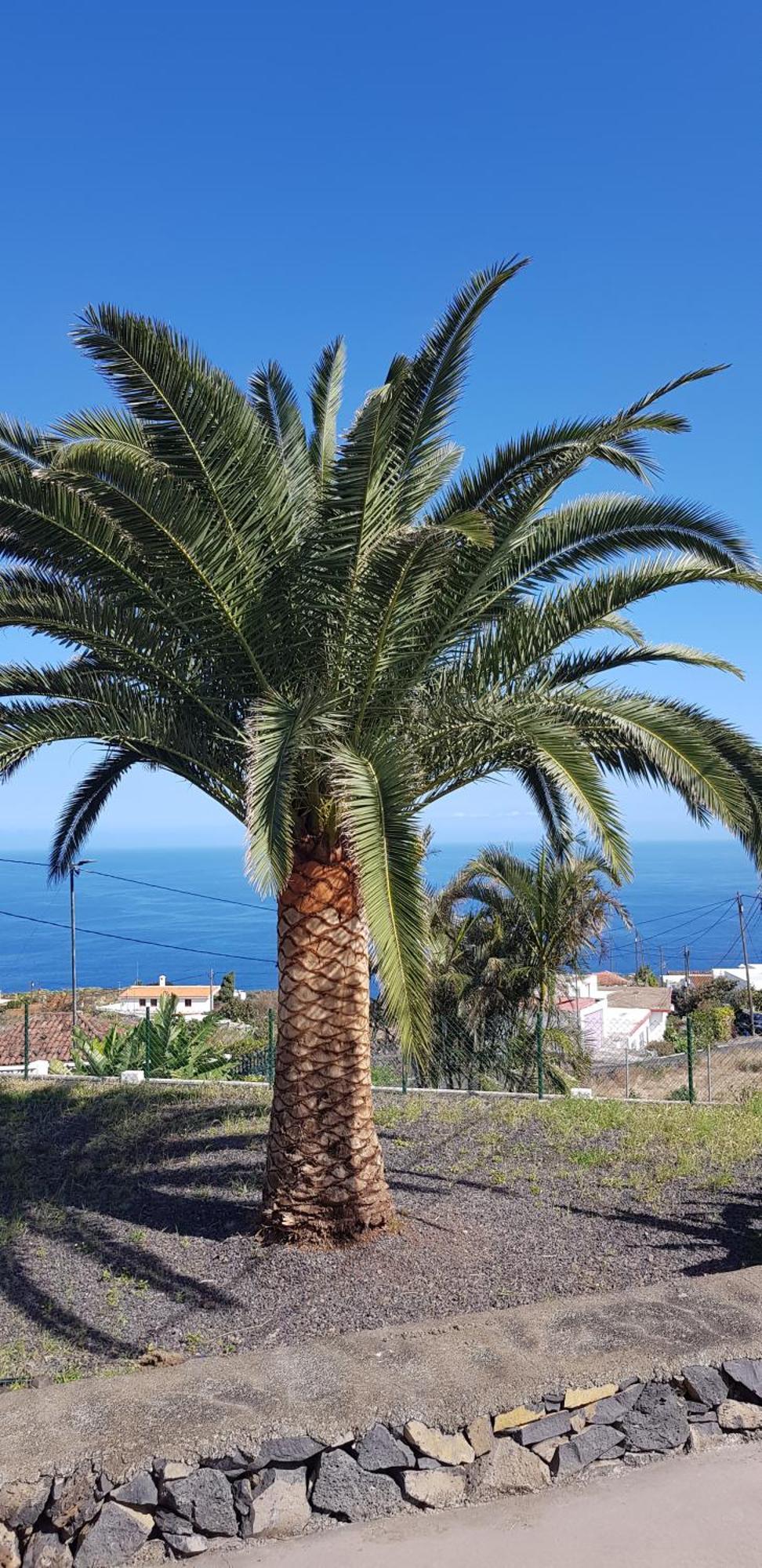 Casa De La Vaca Holiday home Villa de Mazo